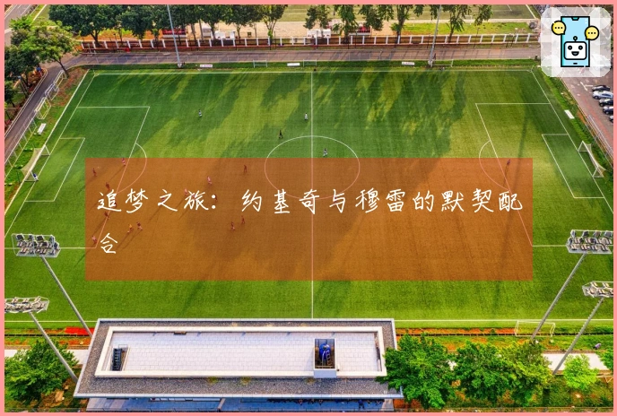 追梦之旅：约基奇与穆雷的默契配合
