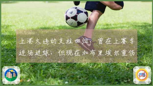 上港久违的支柱回归，曾在上赛季连场进球，但现在加布里埃尔重伤！