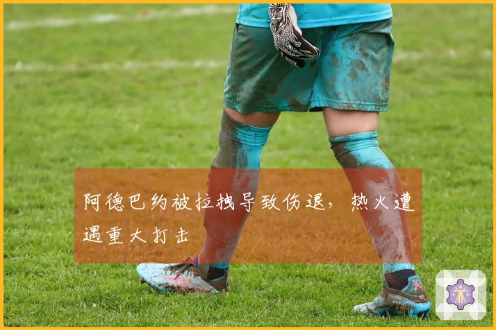 阿德巴约被拉拽导致伤退，热火遭遇重大打击